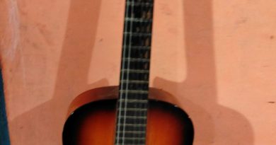 Lirik Lagu Batak Bunga Ni Holong dan Kisahnya