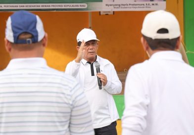 Gubernur Ansar Pimpin Gerakan Sejuta Langkah dan Hujan Pohon di Pulau Penyengat