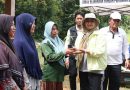 Pemprov Kepri Sebar 45 Ribu Bibit Cabai untuk Tanjungpinang, Batam dan Bintan