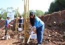 Lestarikan Lingkungan, BP Batam dan PT TDK Tanam 200 Pohon Bambu