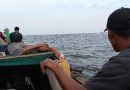 Kepri Masih Juara 2 Pengangguran Nasional Meski Punya Kawasan FTZ dan KEK, Ini Kata Gubernur Ansar