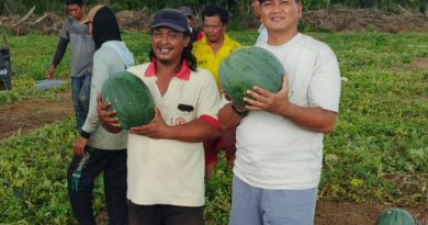 Hujan, Semangka, dan Kopi di Pondok Petani: Cerita Hangat Letjen Kunto di Dompak