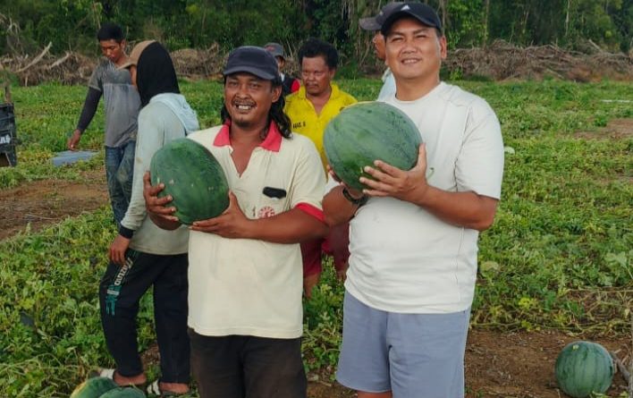 Hujan, Semangka, dan Kopi di Pondok Petani: Cerita Hangat Letjen Kunto di Dompak
