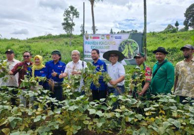 Panen Raya Edamame Kolaborasi Strategis Dongkrak Potensi Pertanian Lokal Panen Raya Edamame Kolaborasi Strategis Dongkrak Potensi Pertanian Lokal