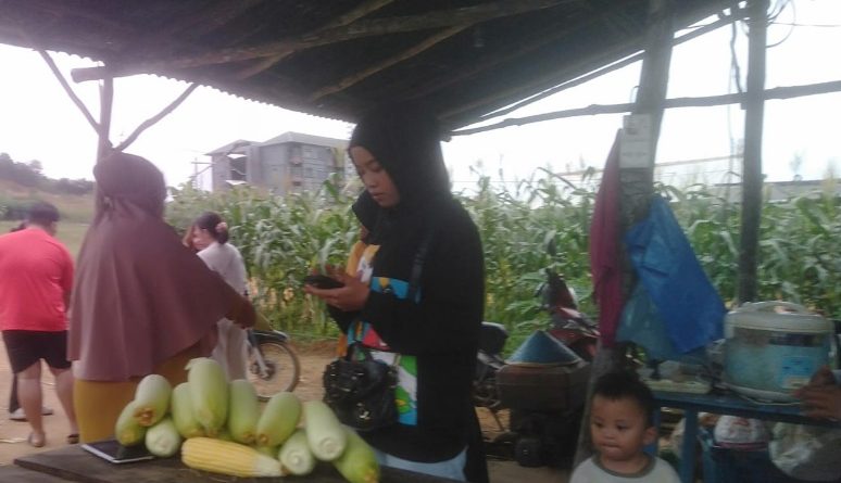 Libur Sekolah, Asyiknya Agro Wisata di Kebun Kogabwilhan Dompak