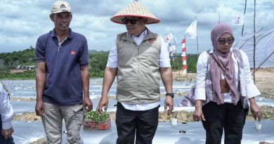 Dari Pantai Halona, Cabai dan Harapan Kemandirian Pangan Kepri Ditanam