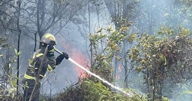 Respons Cepat di Tengah Terik: Saat Ditsamapta Polda Kepri Menjinakkan Api di Sambau