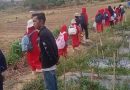 Belajar Bertani Sejak Dini, Siswa SDIT Tunas Ilmu Menyapa Kebun Ketahanan Pangan di Dompak