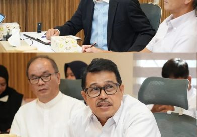 BP Batam Terima Kunjungan Konsul Ekonomi Jepang, Bahas Iklim Investasi dan Kerja Sama Bilateral