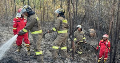 Brimob Kepri di Garis Depan, Api Berhasil Dijinakkan di Bukit Daeng Tembesi
