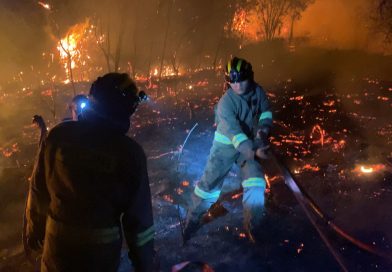 Gerak Cepat Padamkan Karhutla di Sembulang, Polda Kepri Turunkan Puluhan Personel