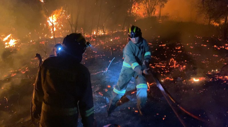 Gerak Cepat Padamkan Karhutla di Sembulang, Polda Kepri Turunkan Puluhan Personel