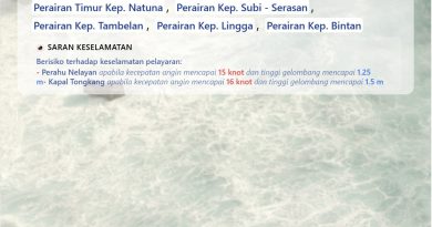 Waspada Gelombang Tinggi Saat Mudik, Polda Kepri Imbau Pemudik Cek Jadwal Kapal Terbaru