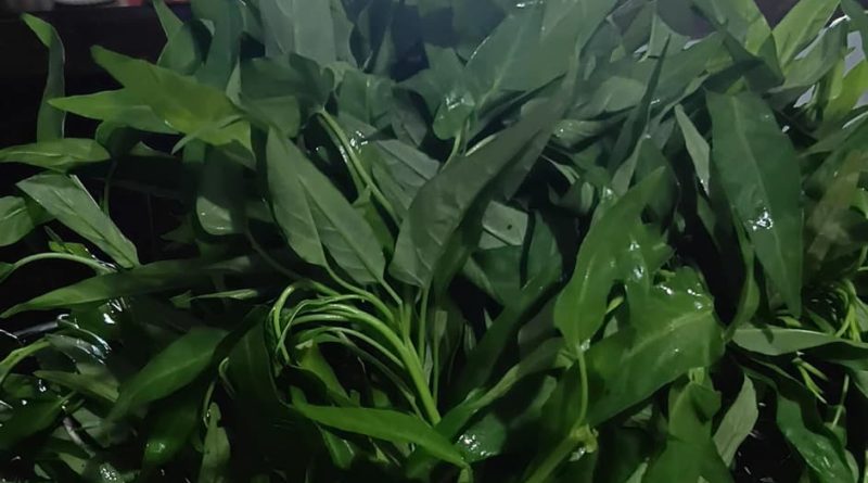 Efek Bosan Daging, Kangkung Diburu, Harga Pun Melambung