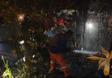 Cepat dan Tanggap, Polda Kepri Jinakkan Api di Tanjung Riau