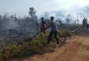 Gerak Cepat Polisi dan Damkar, Kebakaran Lahan di Tanjung Setumu Berhasil Dipadamkan
