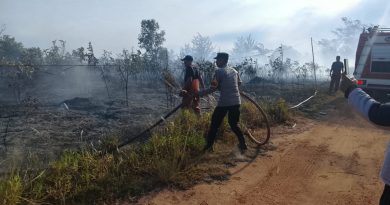 Gerak Cepat Polisi dan Damkar, Kebakaran Lahan di Tanjung Setumu Berhasil Dipadamkan