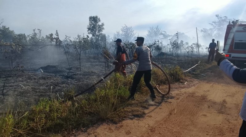 Gerak Cepat Polisi dan Damkar, Kebakaran Lahan di Tanjung Setumu Berhasil Dipadamkan