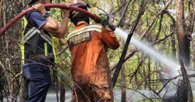 Tinjau Kebakaran Hutan, Ariastuty Imbau Masyarakat Waspadai Setiap Tindakan