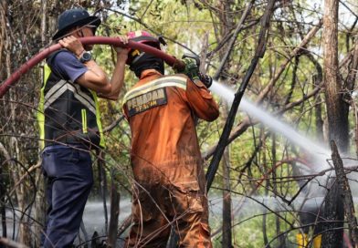 Tinjau Kebakaran Hutan, Ariastuty Imbau Masyarakat Waspadai Setiap Tindakan