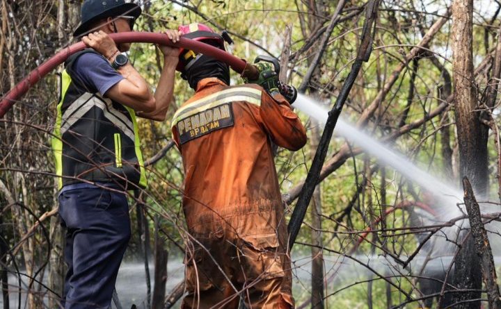 Tinjau Kebakaran Hutan, Ariastuty Imbau Masyarakat Waspadai Setiap Tindakan