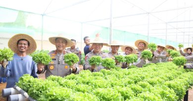 Dari Green House ke Meja Makan, Polda Kepri Panen Perdana Hidroponik