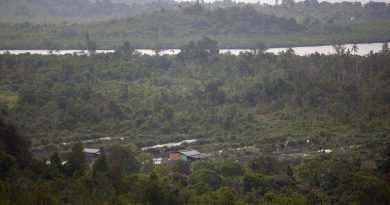 Tak Main-main, Tanjung Banon Disulap Jadi Kekuatan Baru Investasi Batam