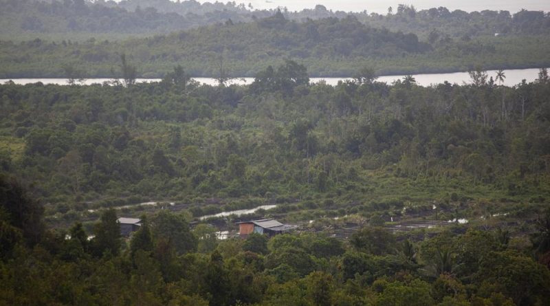 Tak Main-main, Tanjung Banon Disulap Jadi Kekuatan Baru Investasi Batam