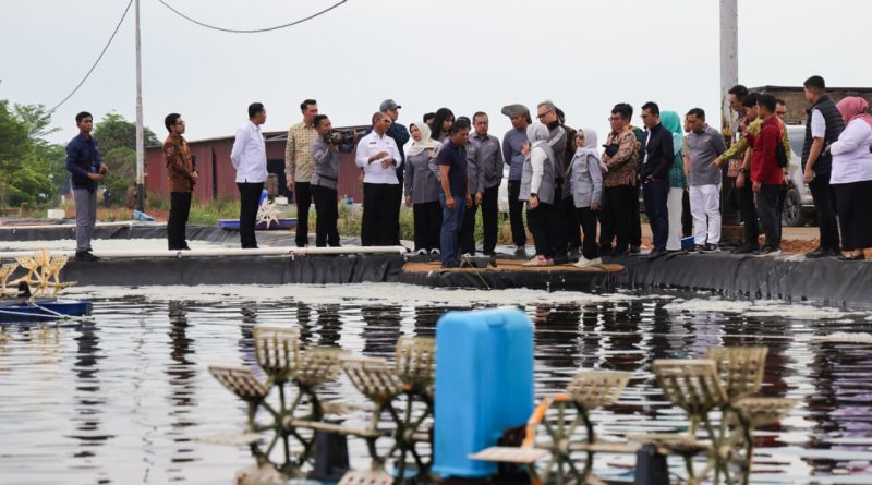 Kunjungan Komisi IX DPR RI ke Tambak Udang, Dorong Ekonomi dan Perlindungan Tenaga Kerja di Kepri