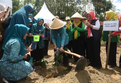 Dari Halaman Rumah ke Ketahanan Pangan: Gerakan Cabai PKK Kepri Mengakar di Bintan