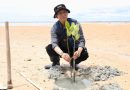 Aksi Menyelamatkan Bumi, Wali Kota dan Mahasiswa Batam Tanam 2.000 Mangrove di Pesisir Nongsa