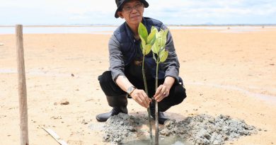 Aksi Menyelamatkan Bumi, Wali Kota dan Mahasiswa Batam Tanam 2.000 Mangrove di Pesisir Nongsa