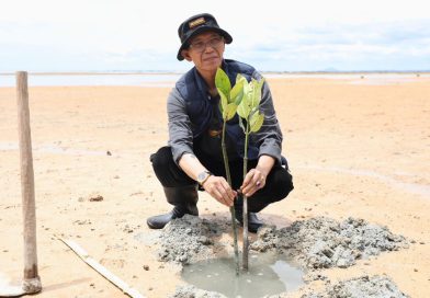Aksi Menyelamatkan Bumi, Wali Kota dan Mahasiswa Batam Tanam 2.000 Mangrove di Pesisir Nongsa