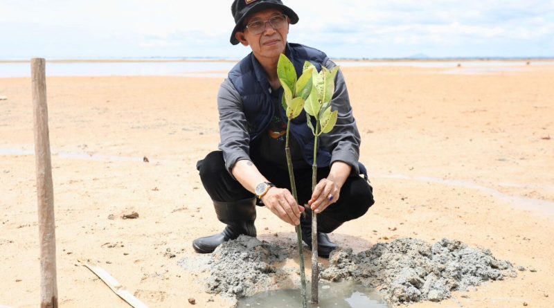Aksi Menyelamatkan Bumi, Wali Kota dan Mahasiswa Batam Tanam 2.000 Mangrove di Pesisir Nongsa