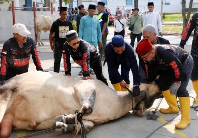 Pemko Batam Pastikan Kurban Menjangkau Hinterland, Wujudkan Iduladha yang Merata