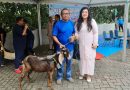 Semarak Idul Adha 1447 Hijriah, BP Batam Sembelih 33 Hewan Kurban Tingkatkan Kepedulian Sosial