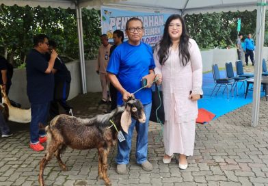 Semarak Idul Adha 1447 Hijriah, BP Batam Sembelih 33 Hewan Kurban Tingkatkan Kepedulian Sosial
