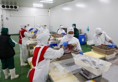 Nelayan Kini Bisa Jual Langsung, Pabrik Pengolahan Ikan Hadir di Kijang