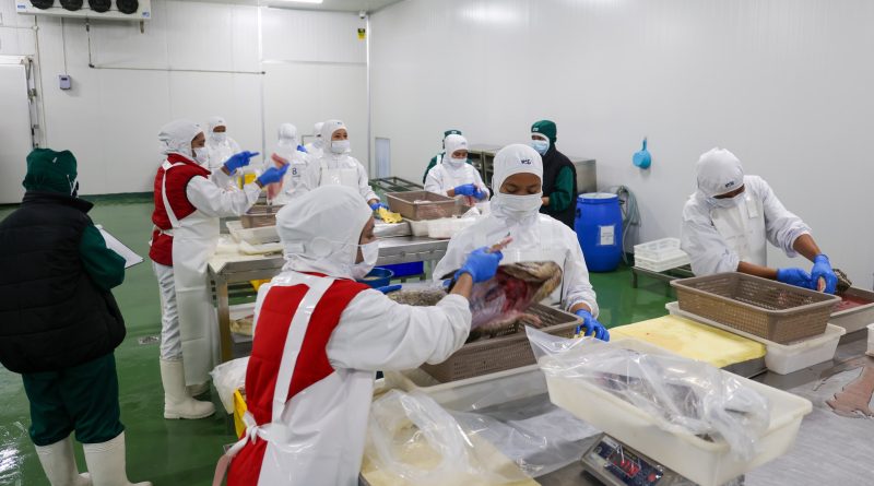 Nelayan Kini Bisa Jual Langsung, Pabrik Pengolahan Ikan Hadir di Kijang