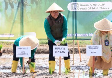 Sawah Bintan Buyu Percontohan Pengembangan Irigasi