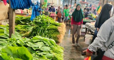 Konsumsi Rumah Tangga, Investasi Tonggak Utama Pertumbuhan Ekonomi RI