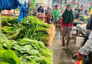 Konsumsi Rumah Tangga, Investasi Tonggak Utama Pertumbuhan Ekonomi RI