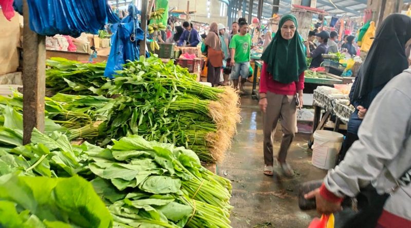 Konsumsi Rumah Tangga, Investasi Tonggak Utama Pertumbuhan Ekonomi RI