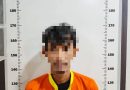 Ditresnarkoba Polda Kepri Gagalkan Peredaran Sabu di Batam, Amankan Dua Tersangka dan 233,85 Gram Barang Bukti