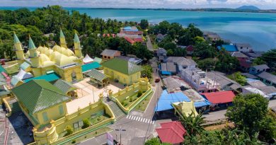 Audiensi dengan Bappenas, Gubernur Ansar Perjuangkan Masa Depan Pulau Penyengat sebagai Ikon Budaya Melayu Nasional