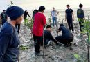 Pelajar Singapura Pelajari Budaya Melayu, Ikut Tanam Mangrove di Penyengat