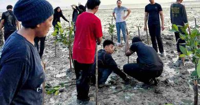 Pelajar Singapura Pelajari Budaya Melayu, Ikut Tanam Mangrove di Penyengat