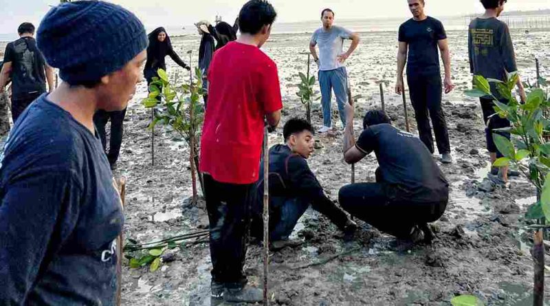 Pelajar Singapura Pelajari Budaya Melayu, Ikut Tanam Mangrove di Penyengat