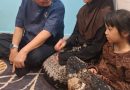 Tuntut Transparansi dan Pertanggungjawaban Atas Hilangnya Kader Kami di Atas Kapal Ro-Ro