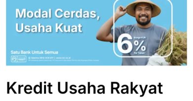 Dorong UMKM Semakin Produktif, BRI Cabang Tanjungpinang Salurkan KUR Rp 250 Miliar Januari Hingga Juli 2026